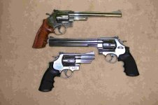 Handguns - .44 mag's   Nov 2009 013.jpg