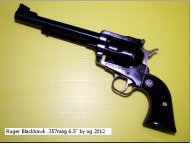 my Ruger Blackhawk.JPG