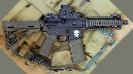 Punisher AR-15.jpg