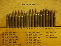 2-Magnum Rifle.jpg