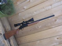 H&R pig gun, 35 Whelan 005.jpg