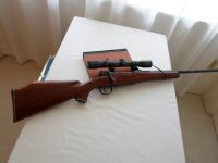 Mauser 001.JPG