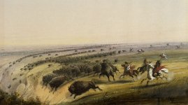 800px-Alfred_Jacob_Miller_-_Hunting_Buffalo_-_Walters_371940190.jpg