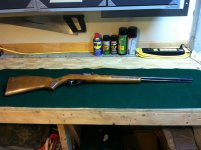 Marlin Model 60 Before.JPG