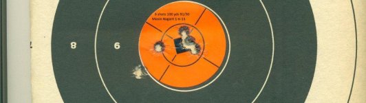 Mosin Nagant 6 shots 100 yds 1-6-13 001.jpg