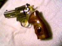 ruger gp 100.jpg