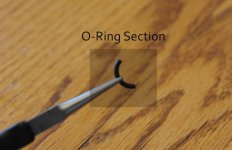 O Ring.jpg