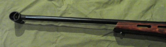 cz-550-varmint--30895063.jpg