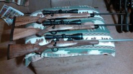 3 Kimber rifles for the all around battery.jpg