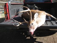 6 Pointer 01-01-2015 004.JPG