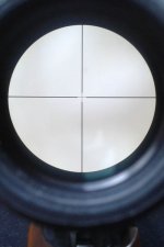 Burris reticle.jpg