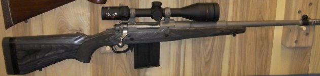 Ruger .308 rifle.jpg