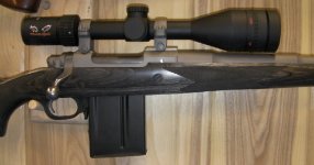 Ruger .308.jpg