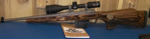 Ruger .308 rifle.new stock.jpg