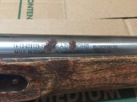 04 Traditions Blunderbuss BP 54 Cal-4 TFL.jpg