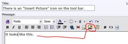 InsertImageIcon.JPG