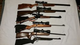 All Rimfire Longguns (6).jpg