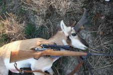 Mosin Sierra 180 gr Antelope buck 2015.jpg