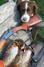 Mick 2015 October first 2 pheasants of the year 005.jpg