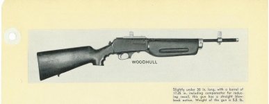 What the 100 woodhull carbine.jpg