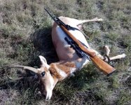 Den antelope 2016 mosin resized very small.jpg