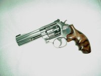 S&W617b.jpg