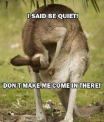 kangaroo.jpg