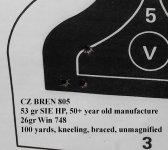 53gr SIE HP 100 yards BREN 2.jpg