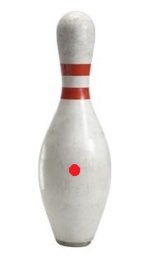 bowling_pin_8MOA.jpg