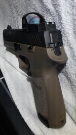 A P320 FDE.jpg