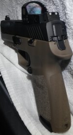 A P320 FDE.jpg