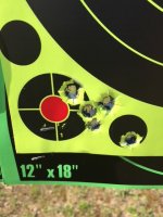 44 mag 65 yards 5 shot.JPG