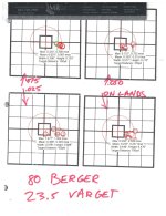 bergers seating test.jpg