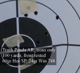 60 gr Horn SP 100 yards.jpg