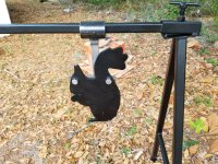 03 25 20 Steel gong stand with squirrel target attached really small.jpg