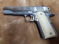 Colt 38 Super Holly.jpg