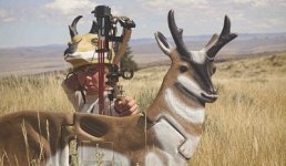 pronghorn.jpg