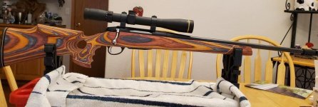 222 tikka 2.jpg