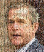 Bush1.JPG