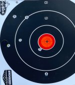 R100 300 yds 8%22 target.jpg