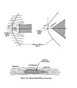 Shock velocity.jpg