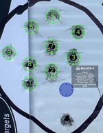 norma extreme 22lr 155yds WO outlier.jpg